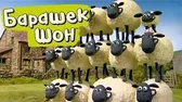 Барашек Шон Шон фотографирует овец
