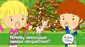 Дейзи и Олли Почему некоторые запахи неприятные?