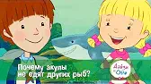 Дейзи и Олли Почему акулы не едят других рыб?