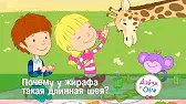 Дейзи и Олли Почему у жирафа такая длинная шея?