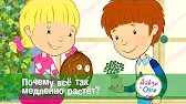 Дейзи и Олли Почему всё так медленно растёт?