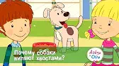 Дейзи и Олли Почему собаки виляют хвостами?