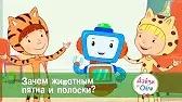 Дейзи и Олли Зачем животным пятна и полоски?