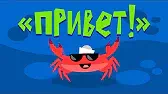 Капитан Краб Привет!