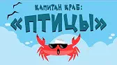 Капитан Краб Птицы