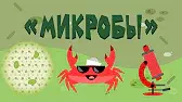 Капитан Краб Микробы