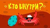 Капитан Краб Кто внутри?