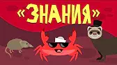 Капитан Краб Знания