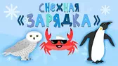 Капитан Краб Снежная зарядка