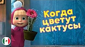 Машины песенки Когда цветут кактусы