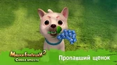 Мишки-Братишки. Снова вместе Пропавший щенок