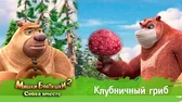 Мишки-Братишки. Снова вместе Клубничный гриб
