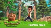Мишки-Братишки. Снова вместе Прямой эфир