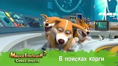 Мишки-Братишки. Снова вместе В поисках корги
