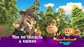 Мишки-братишки. В поисках тигра Как не попасть в капкан