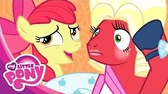 Мой маленький пони: Дружба — это чудо Братский фестиваль
