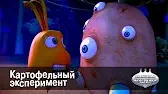 Овощная вечеринка Картофельный эксперимент