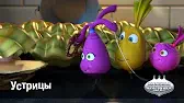 Овощная вечеринка Устрицы