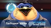 Пингвины-шпионы Свободное время