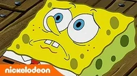 Спанч Боб Морская звезда - новенький Моллюски