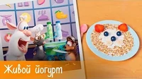 Готовим с Бубой Живой йогурт