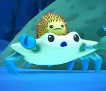 Октонавты - краб и морской ёж