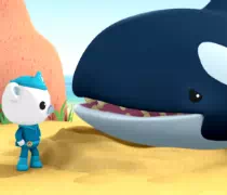 Октонавты и касатки