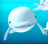 Октонавты и киты-белухи