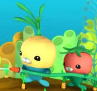 Октонавты и углохвостый спинорог