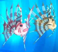 Октонавты и Крылатки-зебры