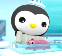 Октонавты и морской огурец