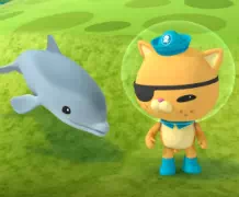 Октонавты и дельфинёнок