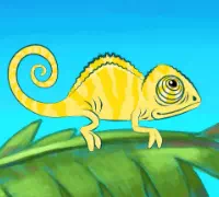 ПочеМуха: Почему хамелеон меняет цвет?