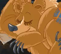 ПочеМуха: Почему медведи впадают в спячку?